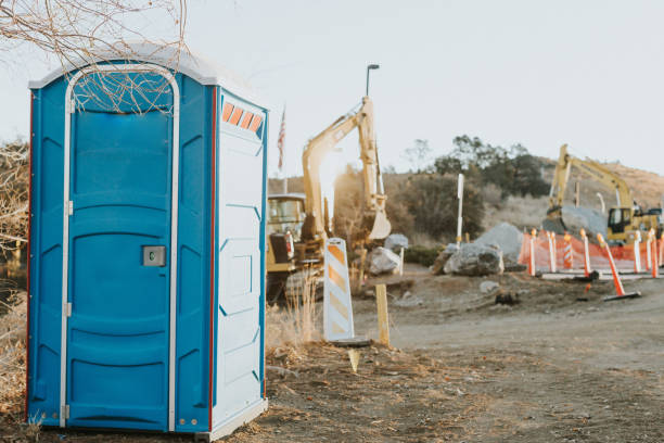 Best Portable toilet rental cost  in Stanton, MI