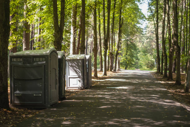 Best Affordable portable toilet rental  in Stanton, MI